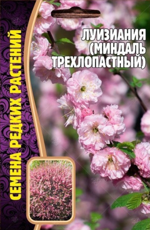 Луизиания (Миндаль трехлопастный) 3шт (Ред.Сем)