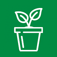 Горшки для комнатных цветов Горшки для комнатных цветов