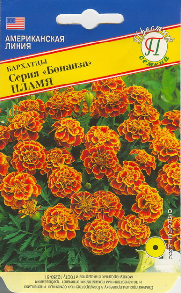 Бархатцы БОНАНЗА Пламя однолетник 10шт (Престиж)