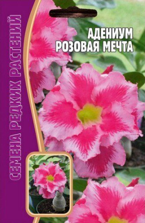 Адениум Розовая Мечта 3шт (Ред.Сем) Адениум Розовая Мечта 3шт (Ред.Сем)