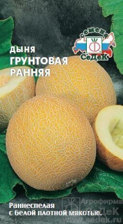Дыня Грунтовая ранняя 0,5г (Седек) Дыня Грунтовая ранняя 0,5г (Седек)