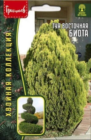 Туя Биота восточная 30шт (Ред.Сем)