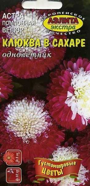 Астра Велюр Клюква в сахаре однолетник 0,1г (АэлитаЭкстра)