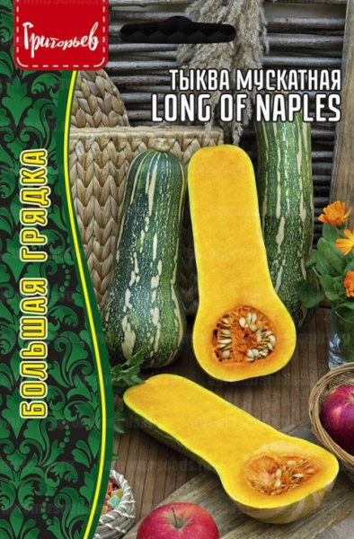 Тыква Длинная из Неаполя мускатная  большая грядка 4шт (Ред.сем) Тыква Длинная из Неаполя мускатная  большая грядка 4шт (Ред.сем)