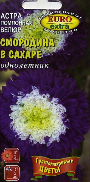 Астра Велюр Смородина в сахаре однолетник 0,1г (АэлитаЭкстра) 