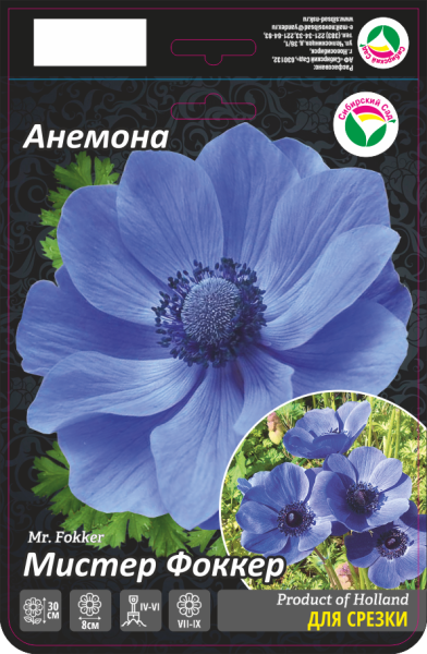 Анемона М-р Фоккер 5/6 15шт (Сиб сад)