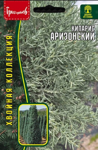 Кипарис Аризонский 0,1г (Ред.Сем)