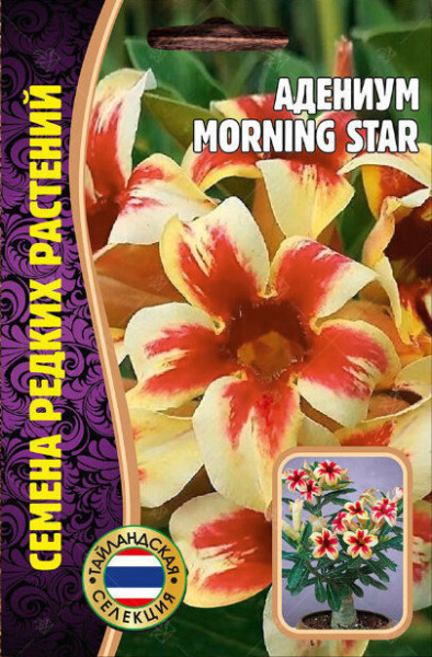 Адениум MORNING STAR 3шт (Ред.Сем) Адениум MORNING STAR 3шт (Ред.Сем)
