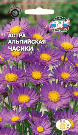 Астра альпийская Часики многолетник 0,1г (Седек)