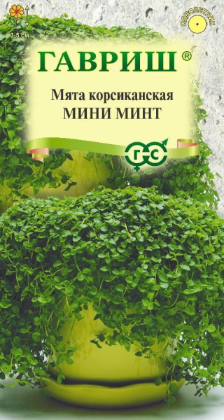 Мята Мини минт декоративная однолетник 3шт (Гавриш)