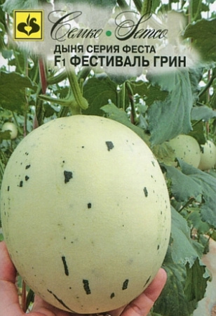 Дыня Фестиваль Грин F1 5шт (Семко)
