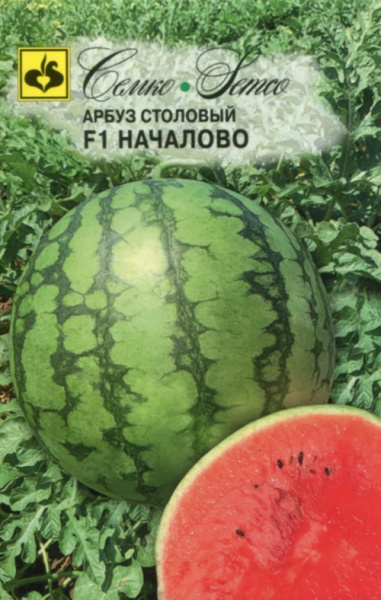 Арбуз Началово F1 5шт (Семко)