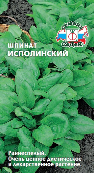 Шпинат Исполинский 2г (Седек)