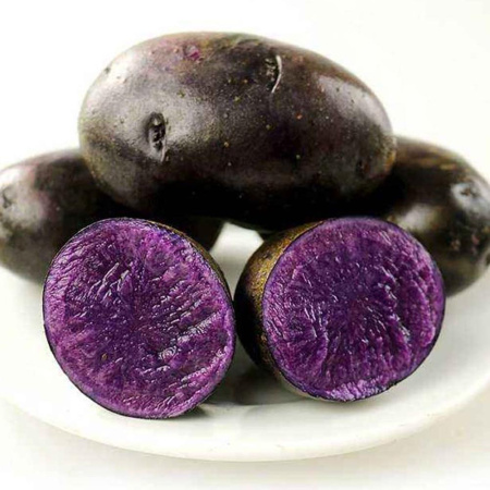 Картофель Багира Элита мешок 25кг (Россия)