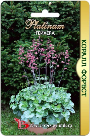 Гейхера Коралл Форест кроваво-красная однолетник 8шт (Биотехника)