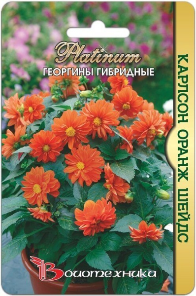 Георгина Карлсон Оранж Шейдс 10шт (Биотехника) Георгина Карлсон Оранж Шейдс 10шт (Биотехника)