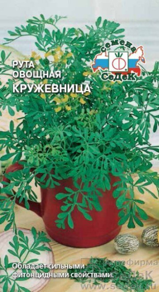 Петрушка листовая Кружевница 2г (Седек)