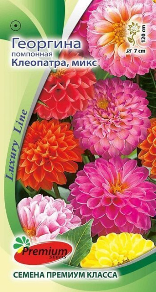 Георгина Клеопатра микс однолетник 0,1г (Премиум)