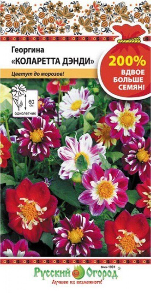 Георгина Коларетта Дэнди смесь 200% однолетник 0,4г (НК) Георгина Коларетта Дэнди смесь 200% однолетник 0,4г (НК)