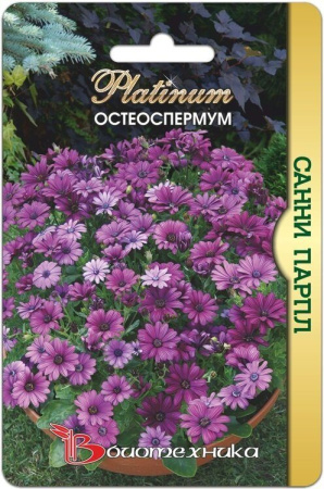 Остеоспермум САННИ Парпл 5шт (Биотехника)