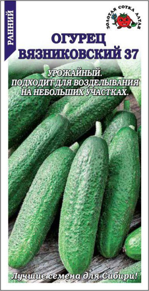 Огурец Вязниковский 0,5г (Золотая Сотка)