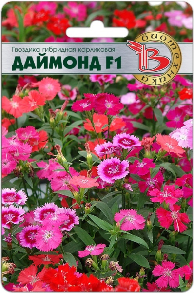 Гвоздика  Даймонд F1 карликовая однолетник 8шт (Биотехника)
