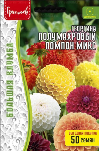 Георгина Помпон Микс полумахровый 50шт (Ред.Сем)
