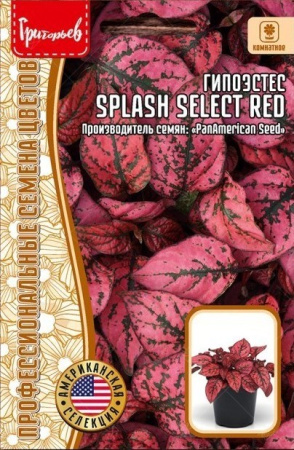 Гипоэстес Splash Select Red 4шт (Ред.Сем)