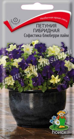 Петуния СОФИСТИКА Блюберри лайм гибридная 5шт (Поиск)