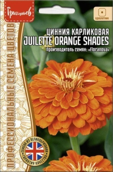 Цинния Juilette Orange Shades карликовая однолетник 5шт (Ред.сем)