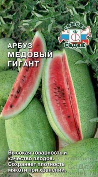 Арбуз Медовый гигант 1г (Седек) Арбуз Медовый гигант 1г (Седек)