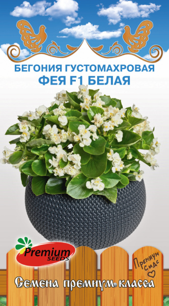 Бегония Фея белая F1 густомахровая однолетник 5шт (Премиум)
