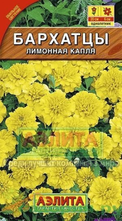 Бархатцы Лимонная капля однолетник 0,3г (Аэлита) Бархатцы Лимонная капля однолетник 0,3г (Аэлита)