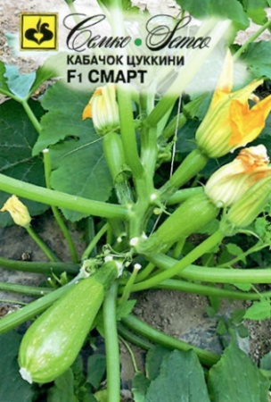Кабачок Смарт F1 цуккини 5шт (Семко)