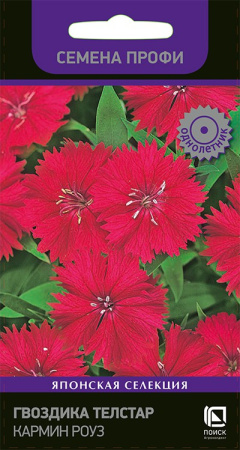 Гвоздика Телстар Кармин Роуз Профи однолетник 10шт(Поиск)