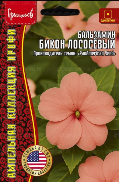 Бальзамин  Бикон Лососевый ампельный однолетник 4шт (Ред.Сем)