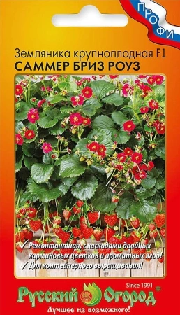 Земляника Саммер Бриз Роуз F1 3шт (НК)