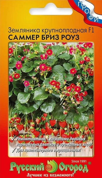 Земляника Саммер Бриз Роуз F1 3шт (НК)
