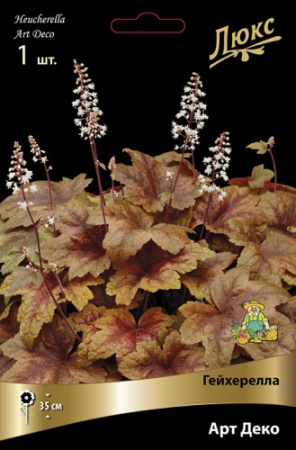 Гейхерелла Арт Деко 1шт (Поиск)