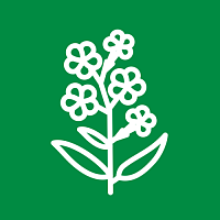 Флокс Флокс