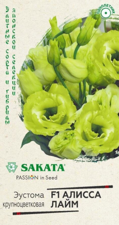    F1 SAKATA 4 ()