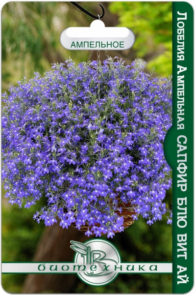 Лобелия Сапфир Блю вит Ай ампельная однолетник 1000шт (Биотехника)