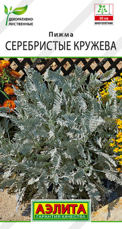 Пижма Серебристые кружева многолетник 5шт (Аэлита)