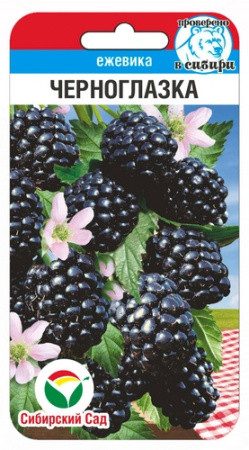 Ежевика Черноглазка 10шт (Сиб Сад)