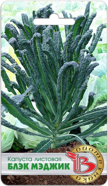 Капуста листовая Блэк Меджик 0,3г (Биотехника)