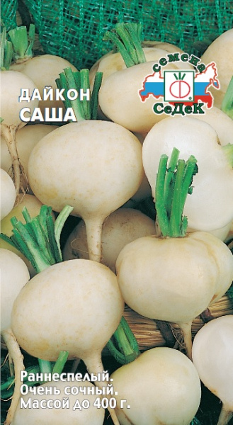 Дайкон Саша 1г (Седек)