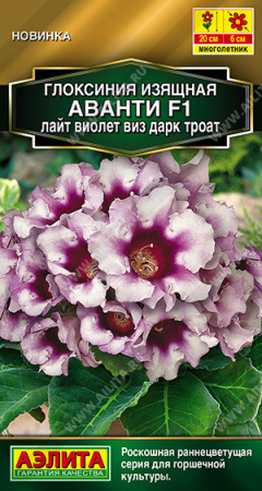 Глоксиния Аванти F1 лайт виолет виз дарк троат 5шт (Аэлита)