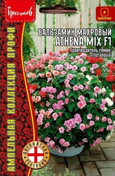 Бальзамин Уоллера Athena Mix F1 ампельный однолетник 5шт (Ред.Сем)