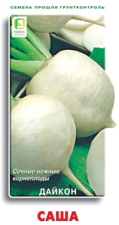 Дайкон Саша 1г (Поиск)