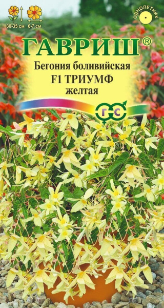 Бегония Триумф F1 желтая боливийская 4шт (Гавриш)